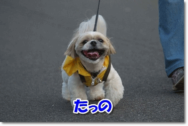 たのしいなっ！