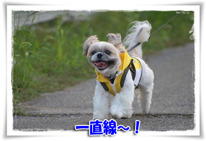 一直線～！