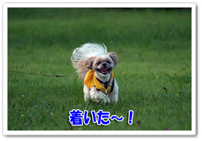 着いた～！