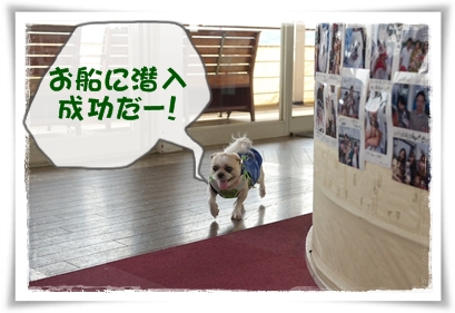 お船に潜入成功だー!