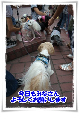 今日もよろしく～！