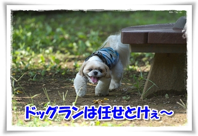 ドッグランは任せとけぇ～