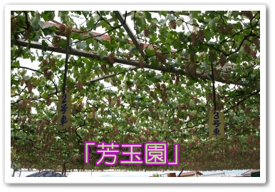 芳玉園さん