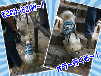 行くぞ～！