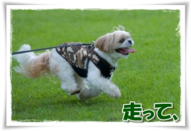 走って、