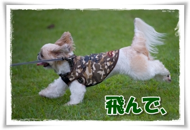 飛んで