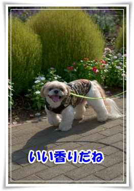 ハーブ園にて