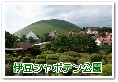 伊豆シャボテン公園全景
