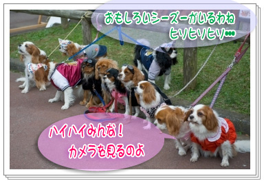 キャバリア軍団