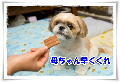 母ちゃん早くくれ