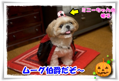 ムーグ伯爵だぞ~