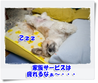 家族サービスは…