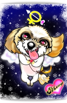 Love angel Moog