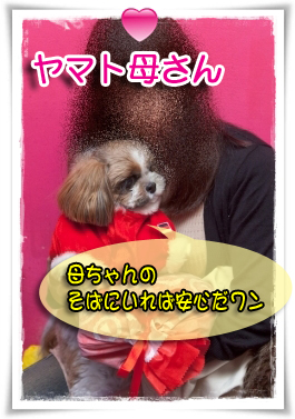 ヤマト母さん